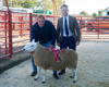 Champion NCC Hill from Messrs Douglas Catslackburn sold for £350_-2